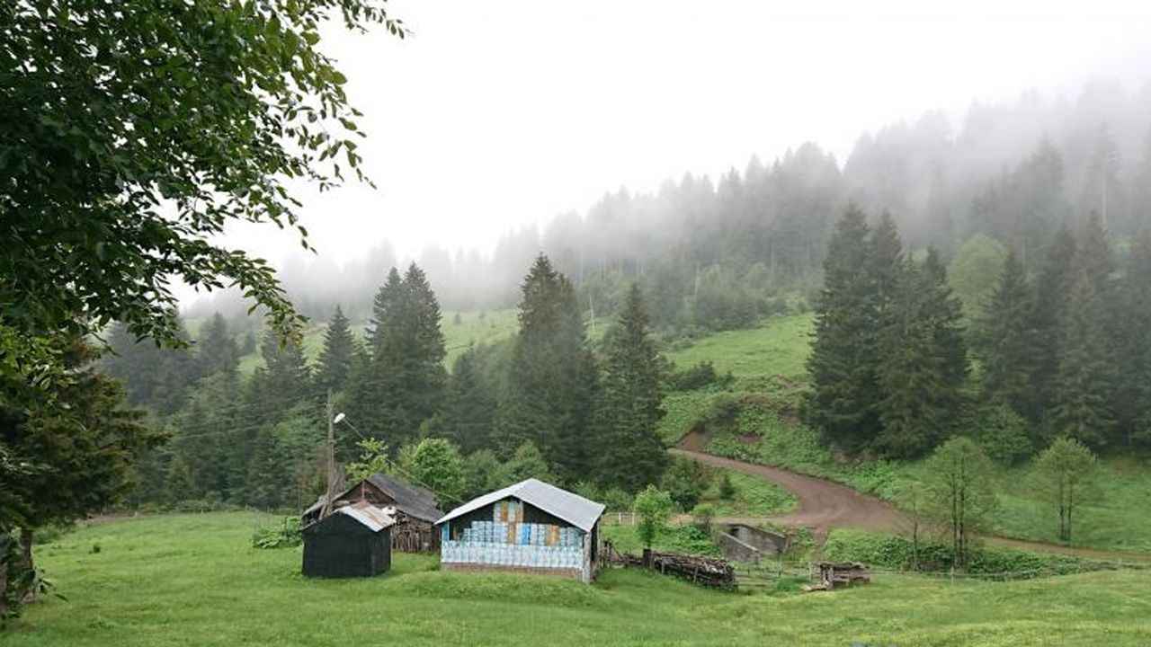 trabzon-solma-vadisi